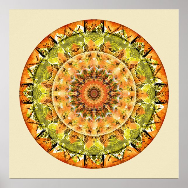 Mandalas von Deep Trust, Nr. 10 Poster (Vorne)