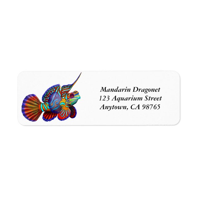 Mandarin Dragonet Goby Fish Label (Vorne)