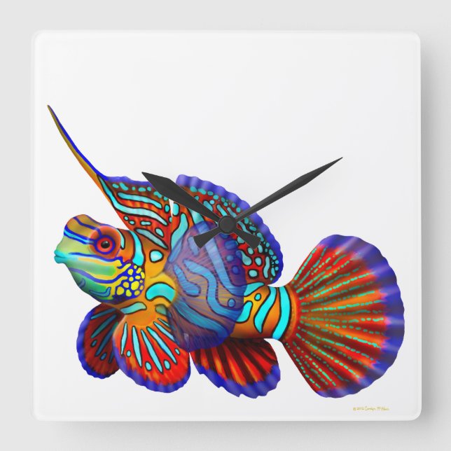 Mandarin Dragonet Goby Fish Wall Clock Quadratische Wanduhr (Vorderseite)