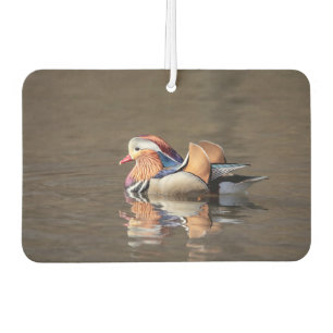 Mandarin Duck Autolufterfrischer