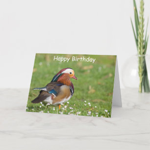 Mandarin Duck Birthday Card Karte