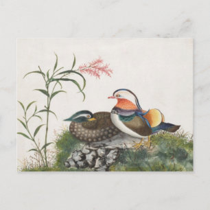 Mandarin Duck Chinese Painting Postkarte