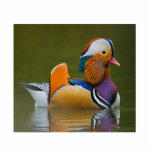 Mandarin Duck Fotoskulptur Schlüsselanhänger<br><div class="desc">Mandarin Duck Schlüsselkette</div>