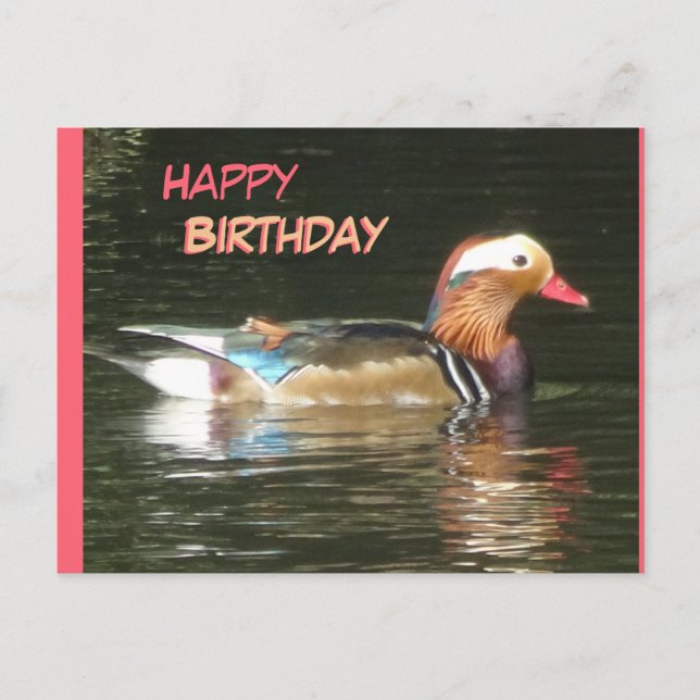 Mandarin Duck Happy Birthday Postcard Postkarte (Vorderseite)