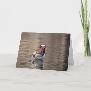 Mandarin Duck Karte