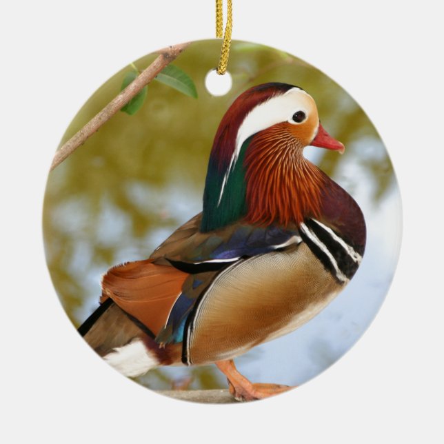 Mandarin Duck Keramikornament (Vorne)