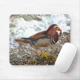 Mandarin-Duck mit Fisch am See Mousepad
