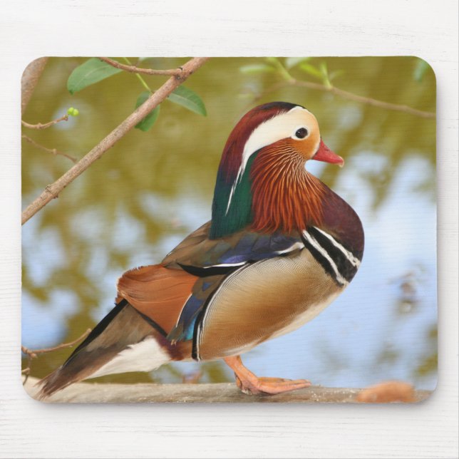 Mandarin Duck Mousepad (Vorne)