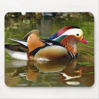 Mandarin Duck Mousepad
