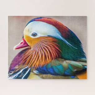 Mandarin Duck Nah Up Portrait Puzzle