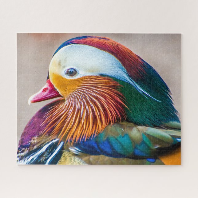 Mandarin Duck Nah Up Portrait Puzzle (Horizontal)