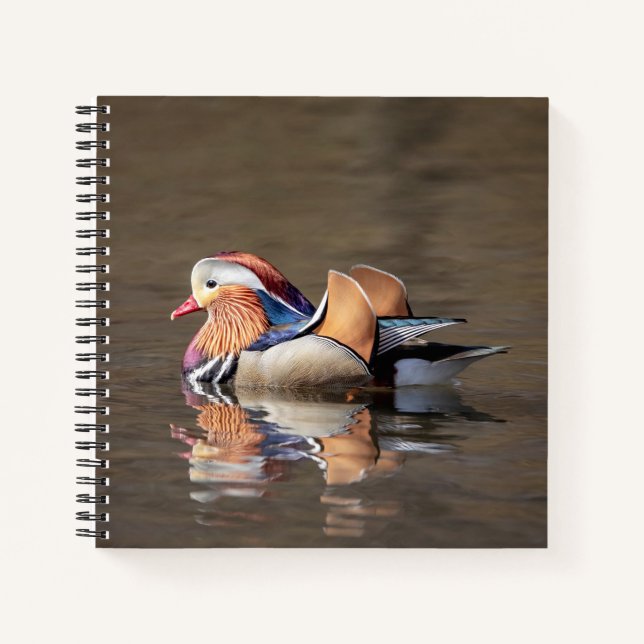 Mandarin Duck Notizbuch (Vorderseite)