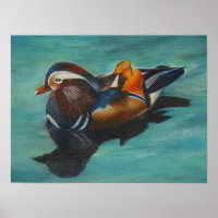 Mandarin Duck Poster