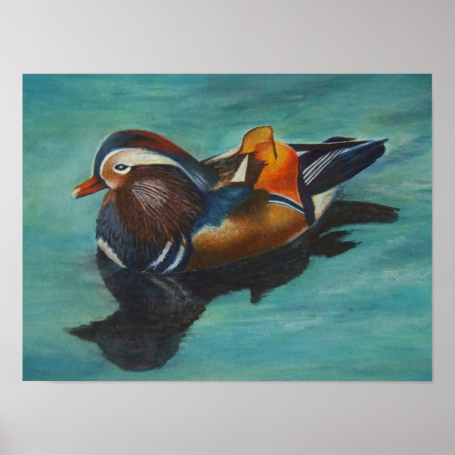 Mandarin Duck Poster (Vorne)