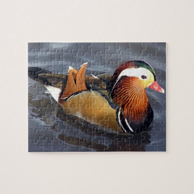Mandarin Duck Puzzle (Horizontal)