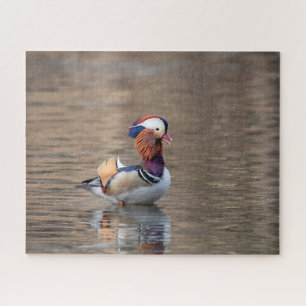 Mandarin Duck Puzzle