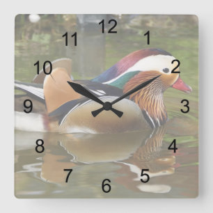 Mandarin Duck Quadratische Wanduhr