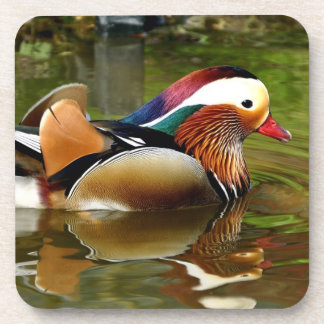 Mandarin Duck Untersetzer