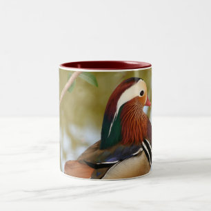 Mandarin Duck Zweifarbige Tasse