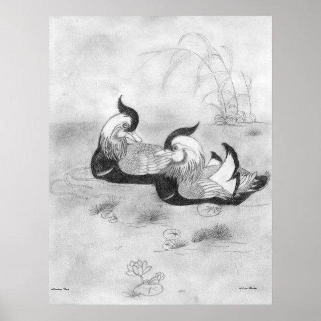 Mandarin Ducks Poster (Vorne)