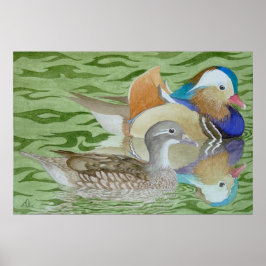 Mandarin-Enten am See Poster