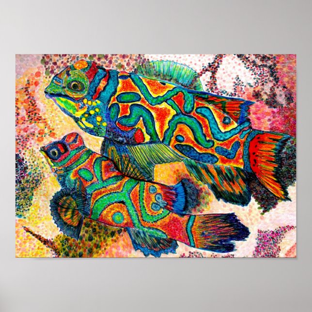 Mandarin Fisch - Aquarell Poster (Vorne)