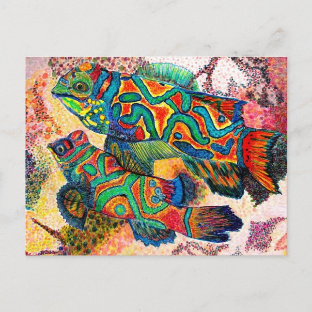 Mandarin Fish Art Postkarte (Vorderseite)