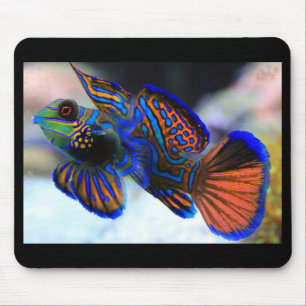 Mandarin Fish Mousepad