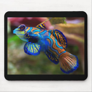 Mandarin Fish Mousepad