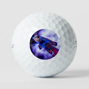 Mandarin Goby Fish Golfball