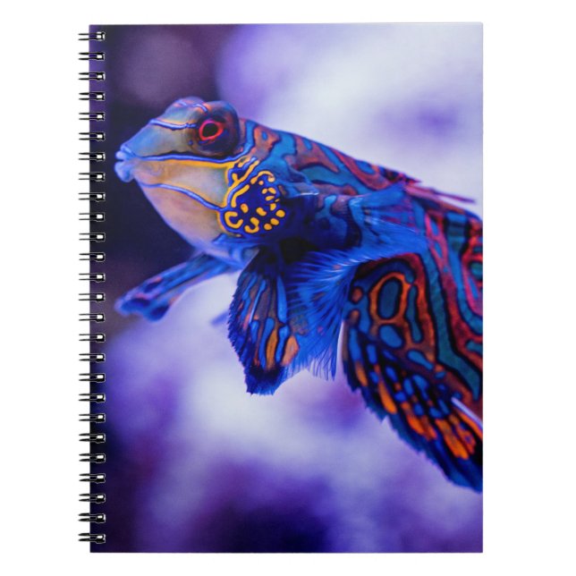 Mandarin Goby Fish Notizblock (Vorderseite)