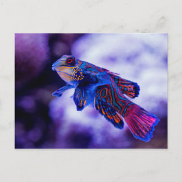 Mandarin Goby Fish Postkarte