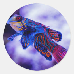 Mandarin Goby Fish Runder Aufkleber