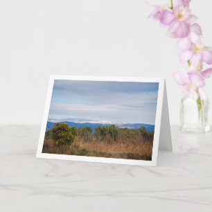 Mandarin Orange Tree and Snowy Mountains Karte