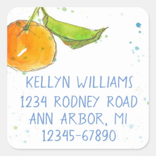 Mandarine Aquarell Frucht Rücksendeadresse Quadratischer Aufkleber