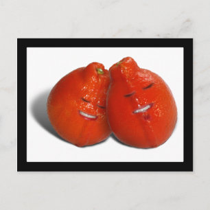 Mandarine Couple (Orange Sie auch in Liebe?) Postkarte