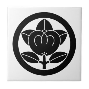 Mandarine in Kreis Fliese