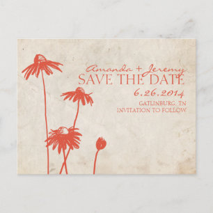 Mandarine Orange Black Mit Augen Susans Save the D Ankündigungspostkarte