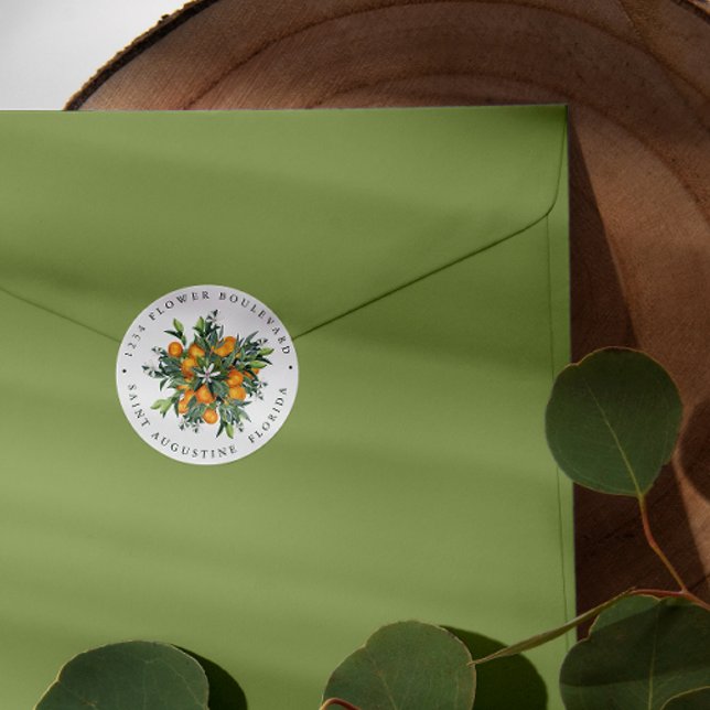 Mandarine Orange | Chic Botanic Rücksendeadresse Runder Aufkleber (Von Creator hochgeladen)