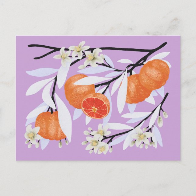 Mandarine Zitrus Blütenzweige Floral Lilac Postkarte (Vorderseite)