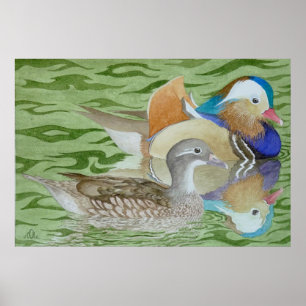 Mandarinen-Enten auf einem See Poster