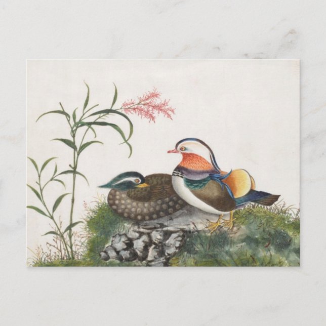 Mandarinen-Enten-chinesische Malerei Postkarte (Vorderseite)