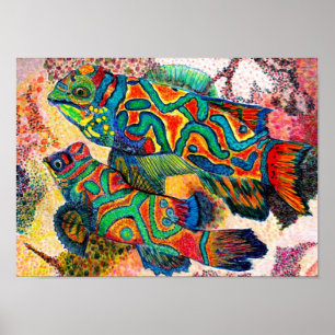 Mandarinen-Fische - Aquarell Poster