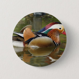 Mandarinenente Button