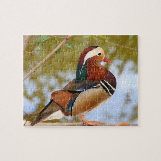 Mandarinenente Puzzle (Horizontal)