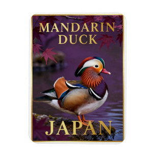 🦆 Mandarinente Japan Exotischer Vogel Magnet