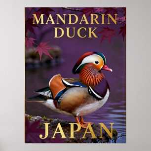 🦆 Mandarinente Japan Exotischer Vogel Poster