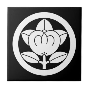 Mandarinorange in kreisförmigen Keramiken Fliese