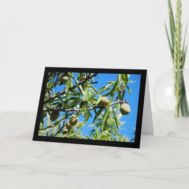 Mandel unter blauem Himmel Karte (Vorderseite)