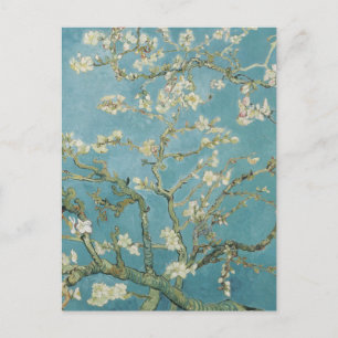 Mandelbaum in Blüte von Vincent Van Gogh Postkarte